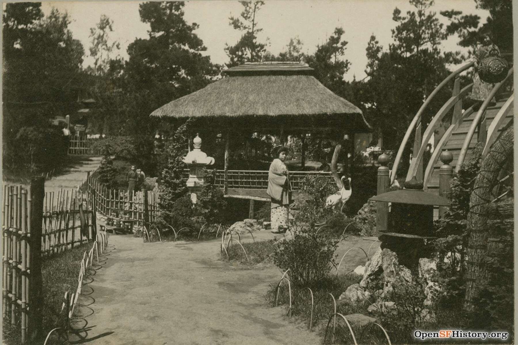 Japanese garden using utah plants