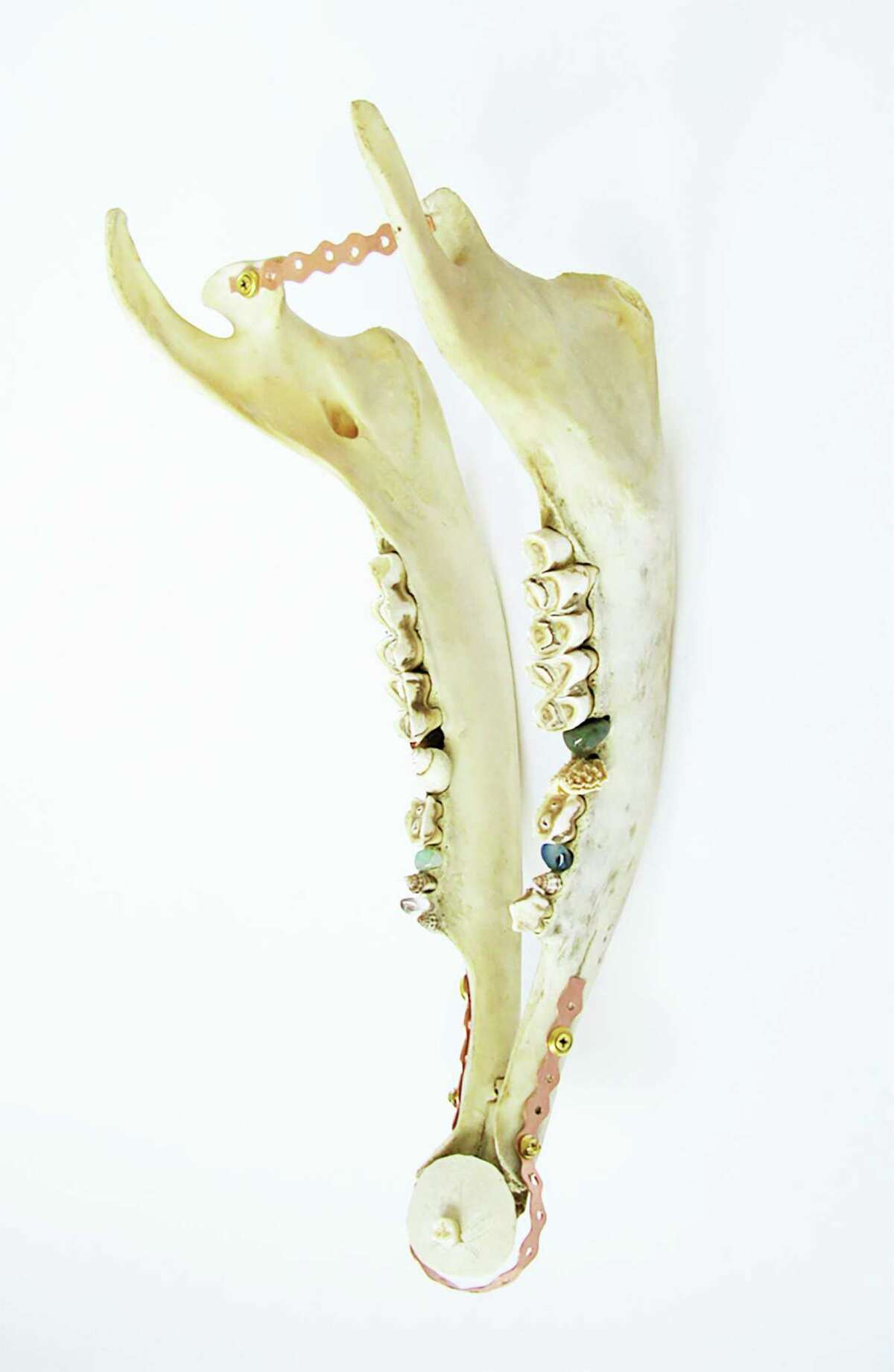 Miller Opie used one of her own baby teeth in her piece "Reparation."