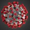 A COVID-19 particle is pictured in this image provided by the Centers for Disease Control and Prevention. (CDC/TNS)