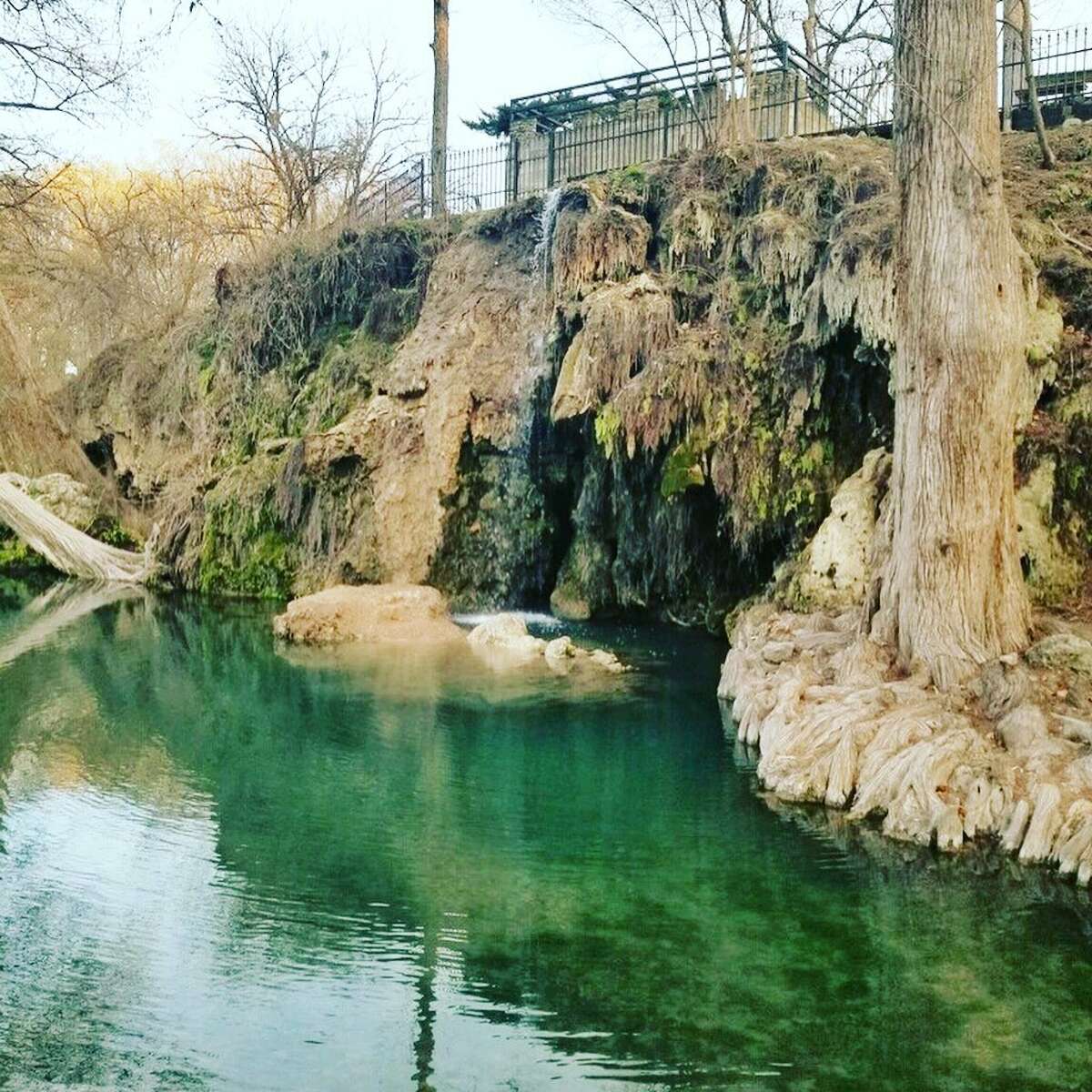 Krause Springs in the Texas Hill Country opens for 2023