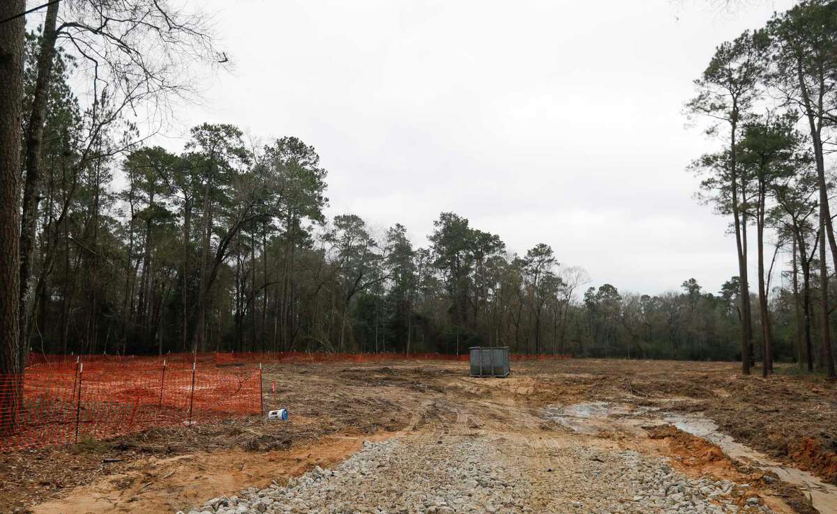 living earth conroe living earth conroe