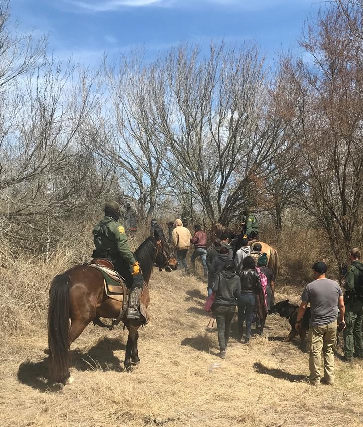 Laredo Sector Horse Patrol unit apprehends 125 immigrants - Vimarsana News