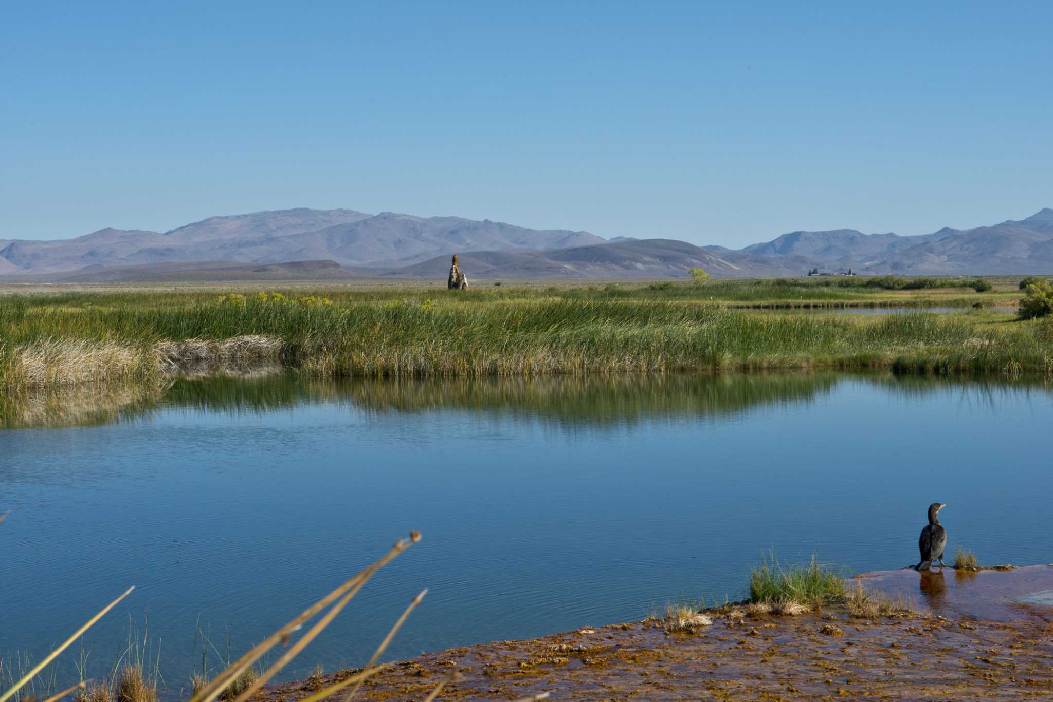 Inside Fly Ranch, Burning Man's Permanent Space in the Desert - Vimarsana News