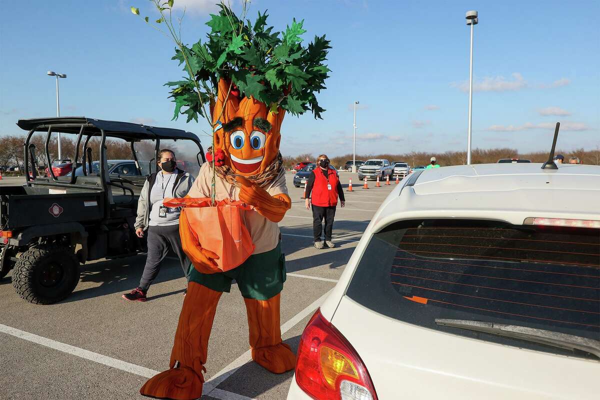 San Antonio Parks and Recreation’s tree mascot, Parker the Texas Red Oak, carries a tree to a waiting vehicle at a Texas A&M San Antonio parking lot Saturday, March 6, 2021.