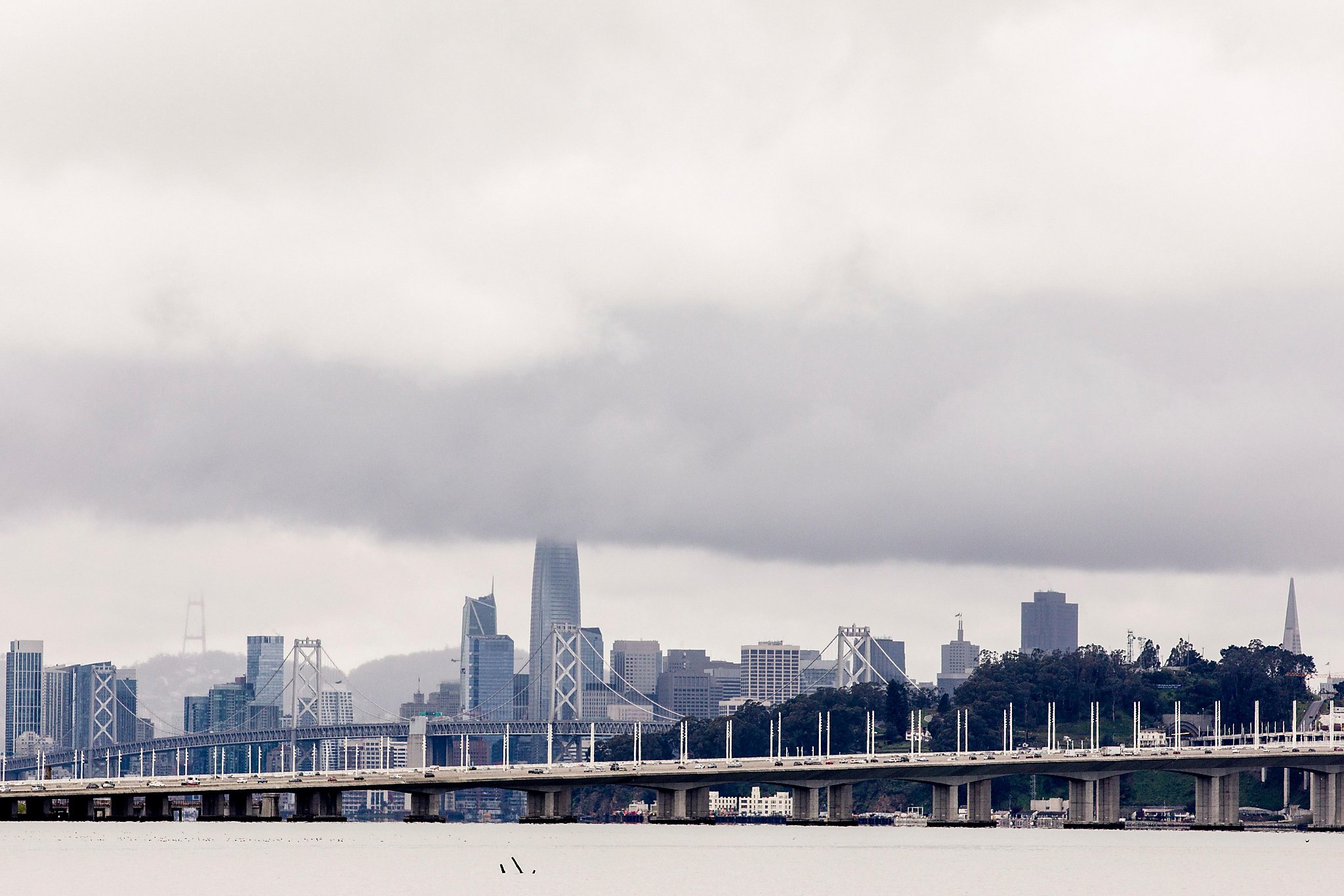 Rain and hail are headed toward the Bay Area, but the weekend looks clear. Here's what to expect - Vimarsana News