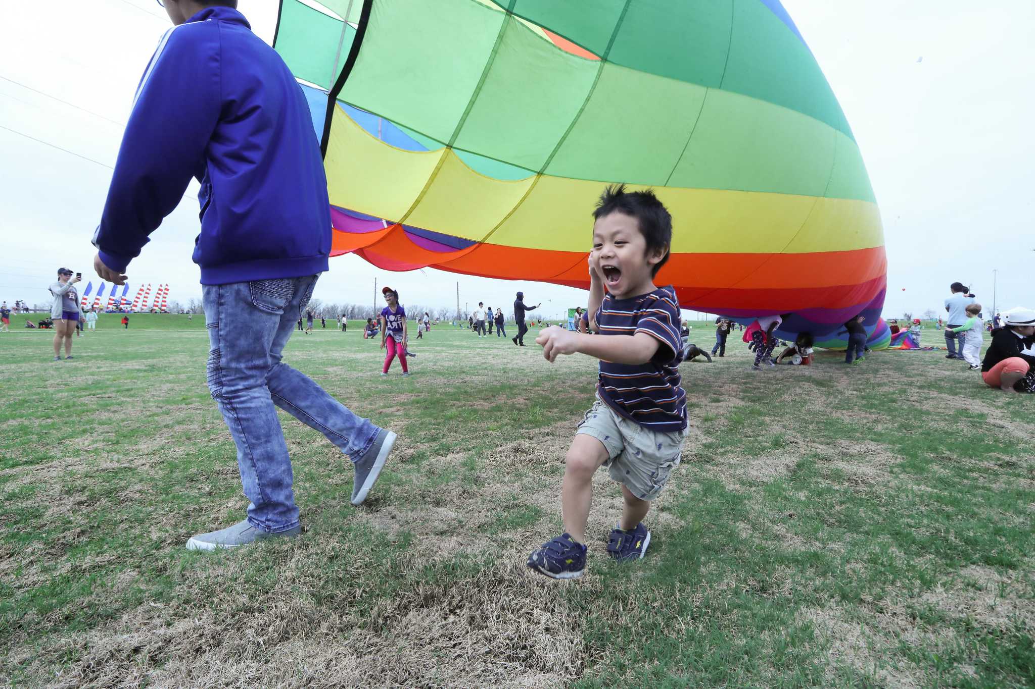 Go fly a kite at Sugar Land arts festival