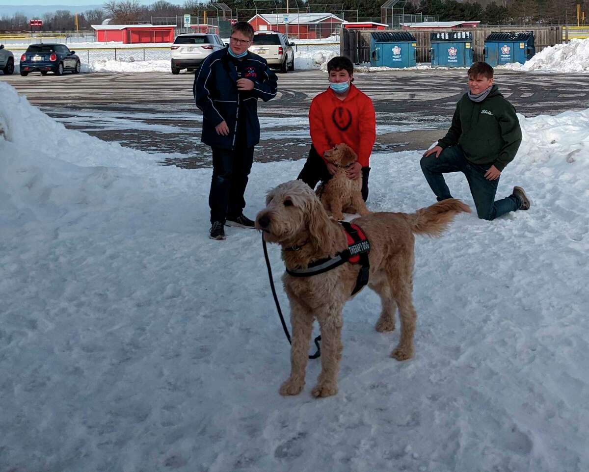 Gareth Dekraker, left, Leland Love and Ben Zdrojewski play with Goldendoodles Finley and Rosie during the dogs' outside time. (Photo by Tereasa Nims For the Daily News)