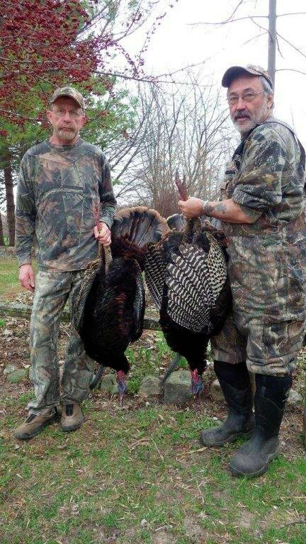 Dick Randall (left) and Bob Walker, both of Kingston, are shown with a pair of nice Thumb gobblers taken during a previous early spring turkey season, which will open in mid-April. (Tom Lounsbury/Hearst Michigan)