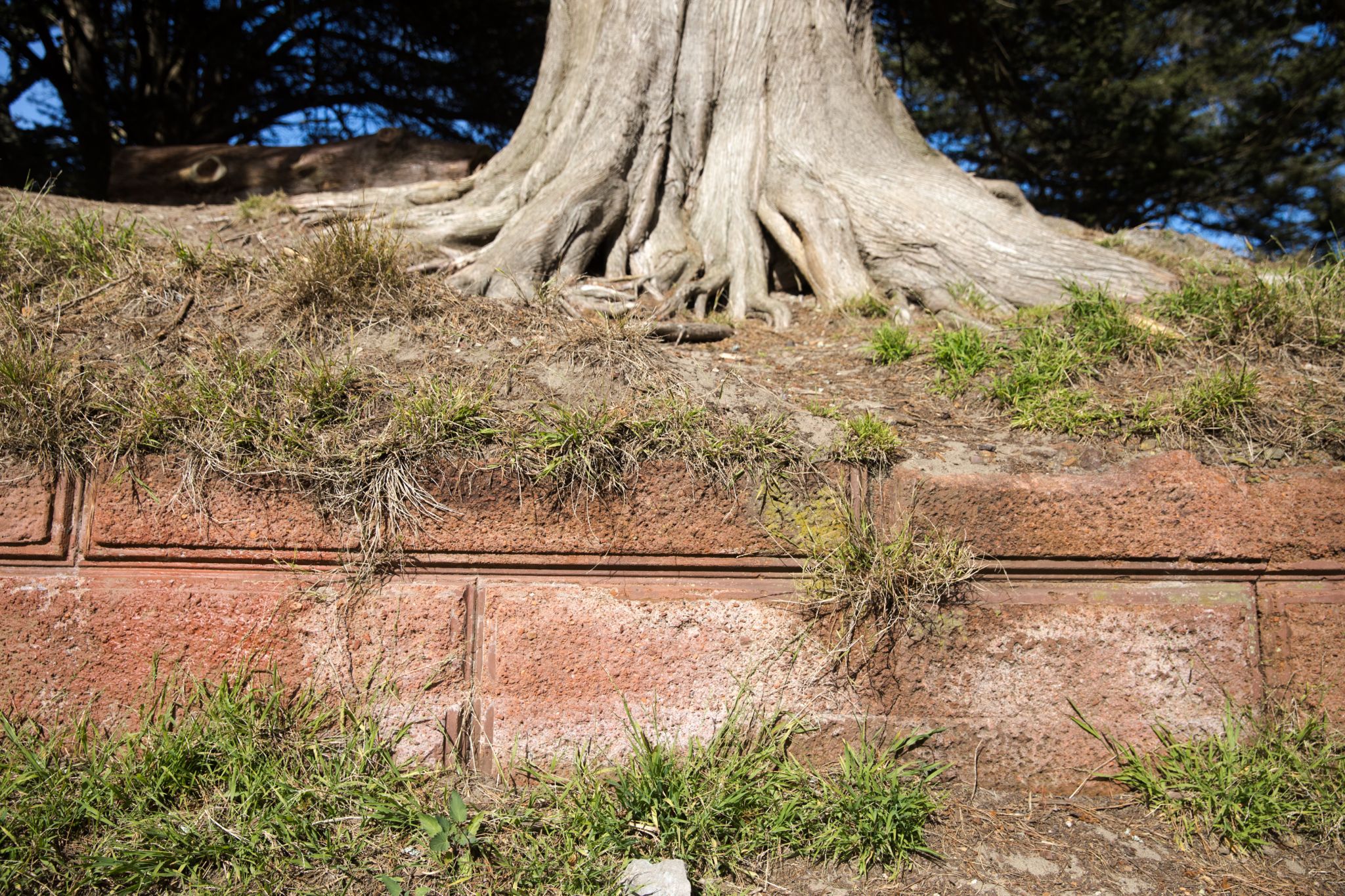 Remember the “earthquake-resistant” observatory in the Golden Gate Park that fell in 15 years