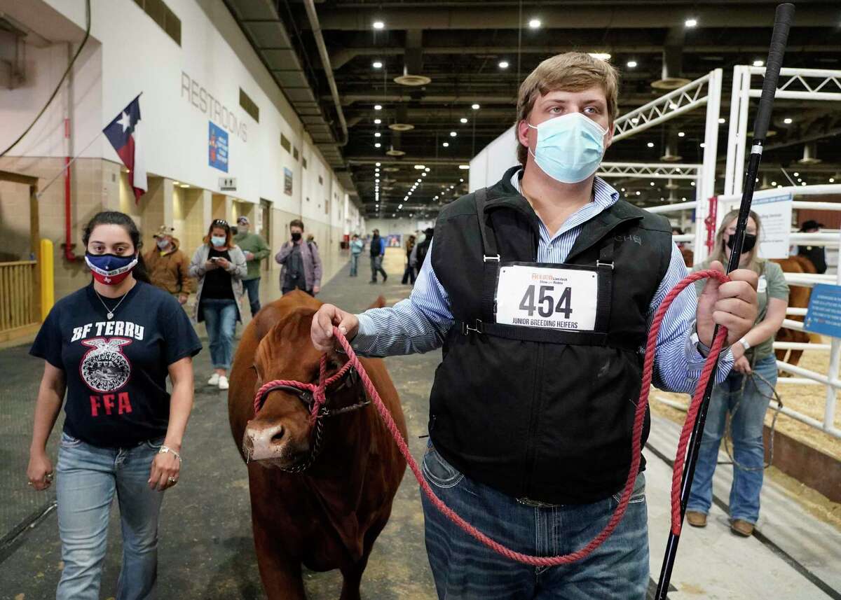 Katelynn Boyd, left, agriculture teacher at BF Terry High School in Rosenberg, left, walks with senior student, Ben Crippen, 18, right, as he leads a Red Brangus during the junior show of the Houston Livestock Show and Rodeo in NRG Center Tuesday, March 9, 2021 in Houston. The Junior Livestock Show and Horse Show competitions are being held as private events after the cancellation of all other activities, including the carnival, RodeoHouston competitions and concerts due to COVID-19 pandemic.