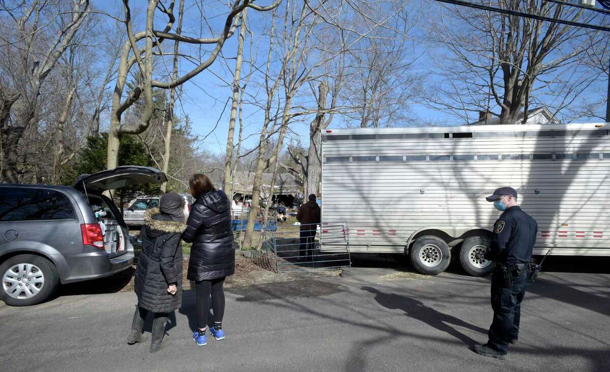Official 90 goats in Redding cruelty case go up for adoption