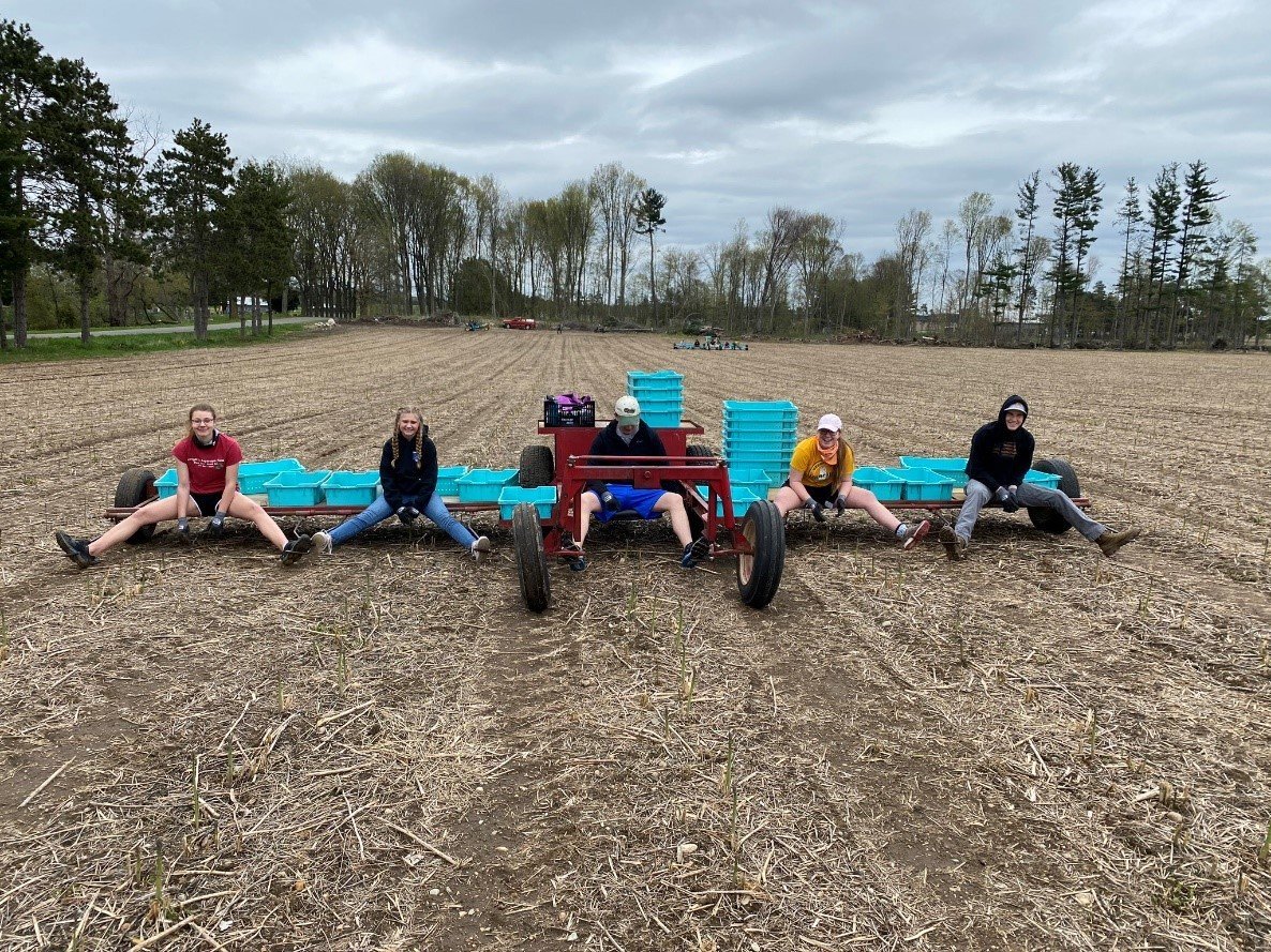 Gregory's Asparagus Farms keeps quality in the family