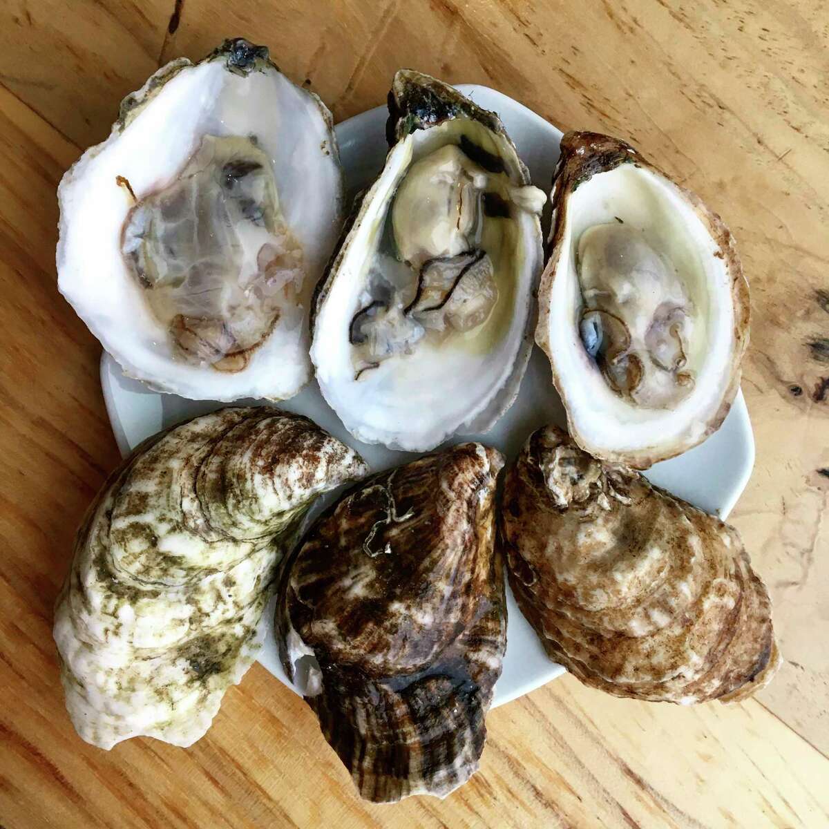 East Coast oysters 5 of the best San Antonio oyster bars, restaurants