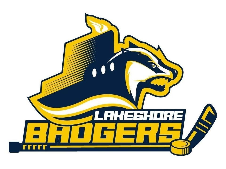Lakeshore hockey drops two games over weekend