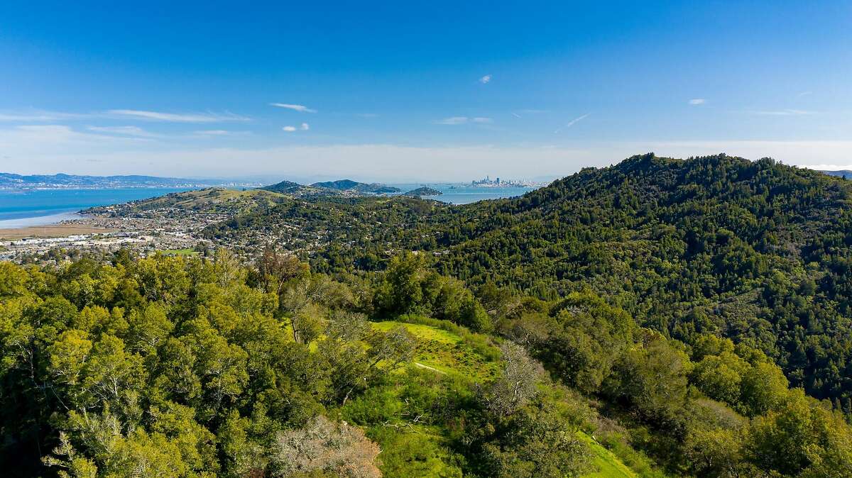 King Mountain Estate in Marin County is being sold at auction.