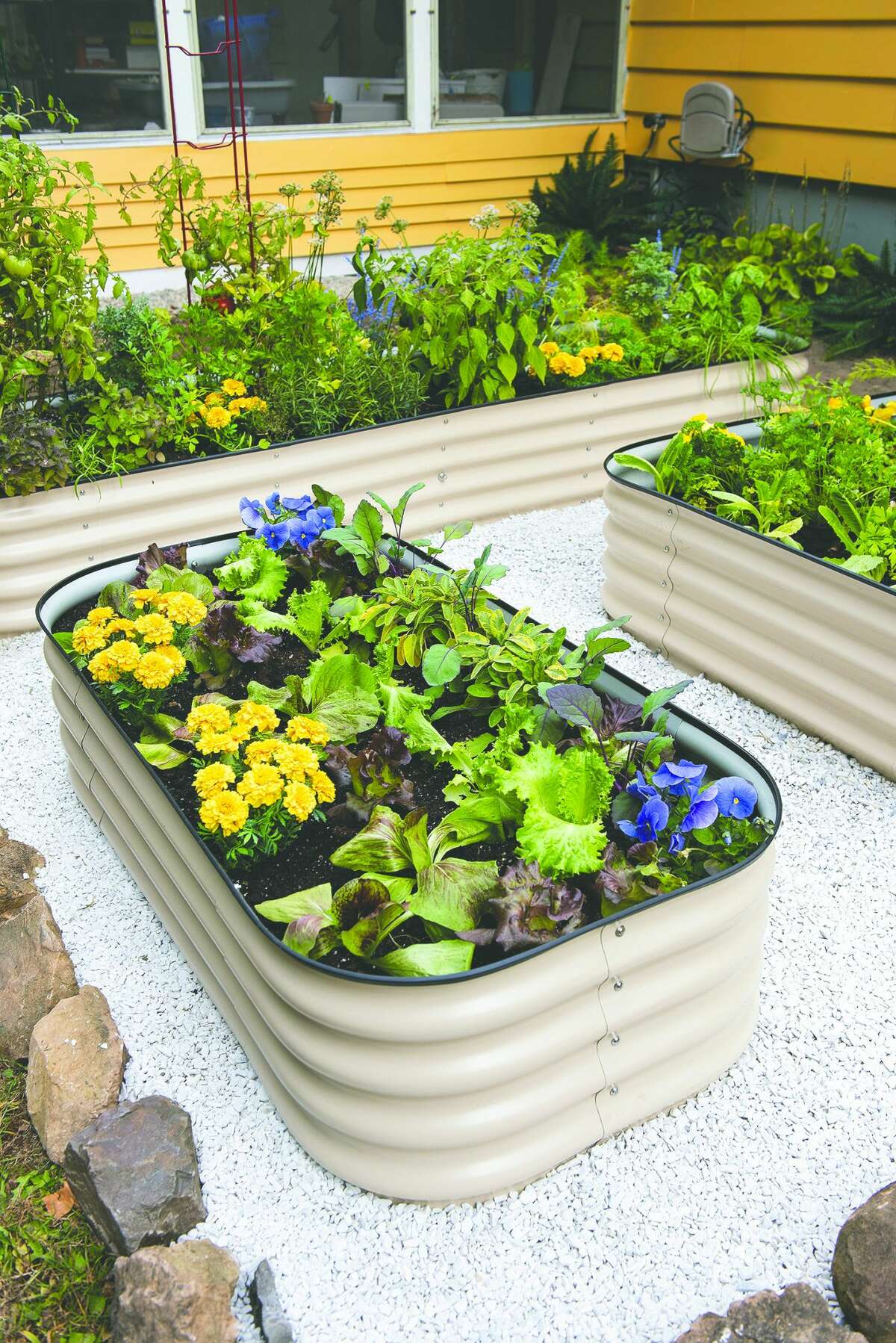 Some raised beds have built-in water reservoirs to extend the time between watering.