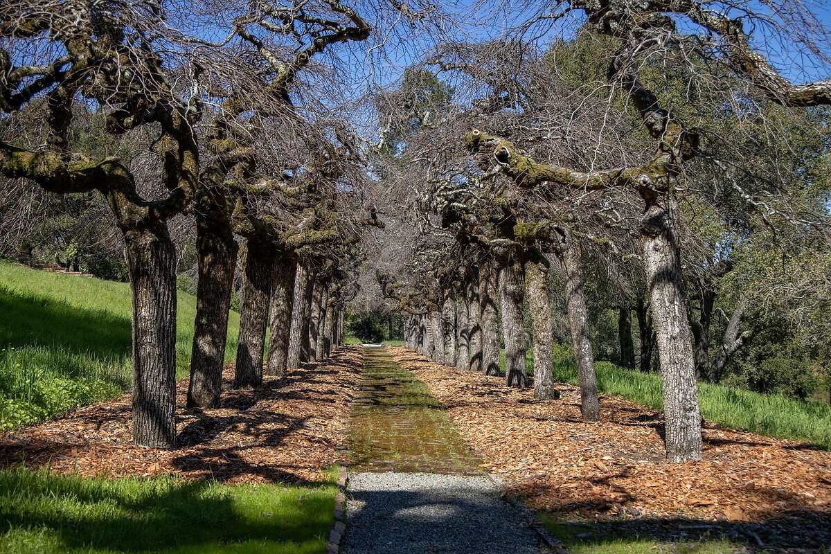 Take an inside look at the priciest home for sale in the Bay Area — a