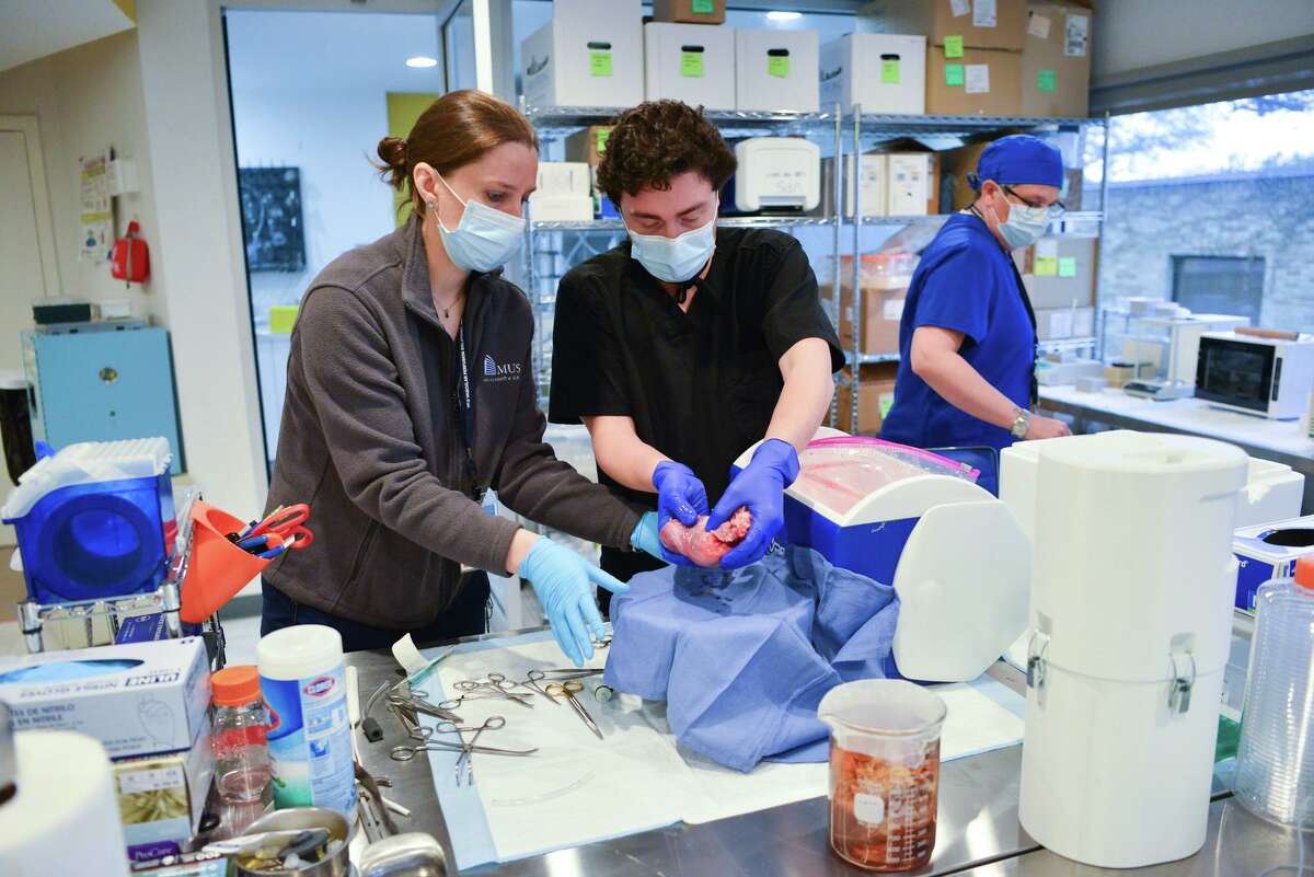 Scientist Kristina Andrijauskaite (left) and Rafael Veraza prepare a pig heart as Clinical Coordinator Michel Watt (right) walks by at Vascular Perfusion Solutions Inc. Sunday morning as testing continues on a new device that could allow donated human hearts to remain viable in transport for up to eight hours, twice as long as the current system.