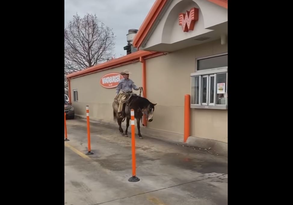 Cowboy rides horse to Whataburger drive-thru because Texas, ya'll