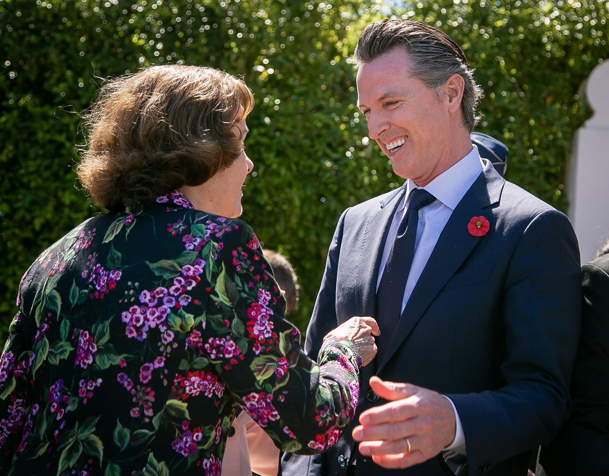 Gavin Newsom says he'll name a Black woman to Senate if Feinstein doesn't finish term - Vimarsana News