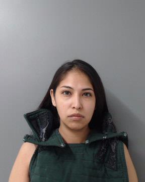 Affidavit: Laredo woman asleep while her children were out in street naked