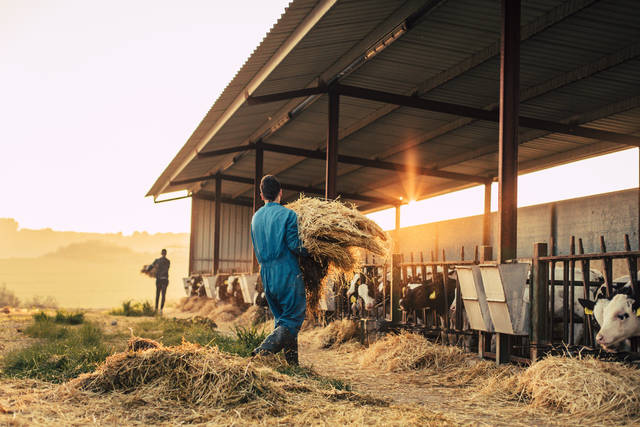Farm Credit issues special patronage payment - Vimarsana News