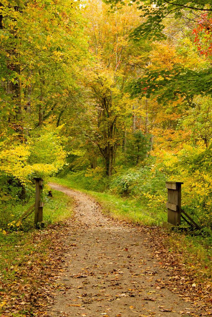 East Haddam, East Hampton win $143,400 in state open space funds - Vimarsana News