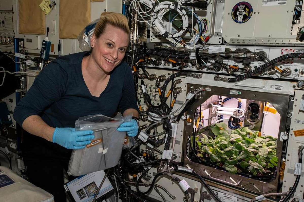 On Nov. 27, 2020, NASA astronaut and Expedition 64 Flight Engineer Kate Rubins checks out radish plants growing for the Plant Habitat-02 experiment that seeks to optimize plant growth in the unique environment of space and evaluate nutrition and taste of the plants.