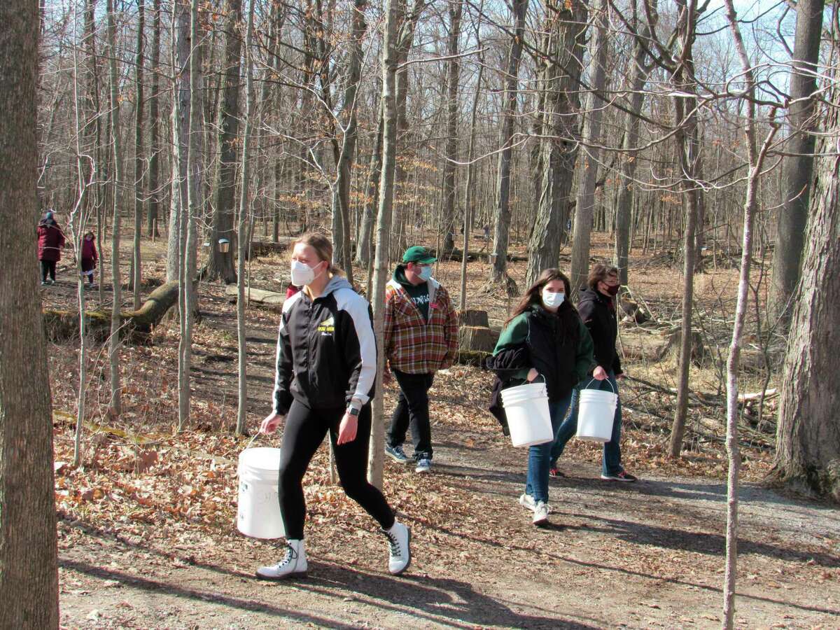 Volunteers collect maple syrup to be made into syrup at Chippewa Nature Center on Sunday, March 14. (Victoria Ritter/vritter@mdn.net)