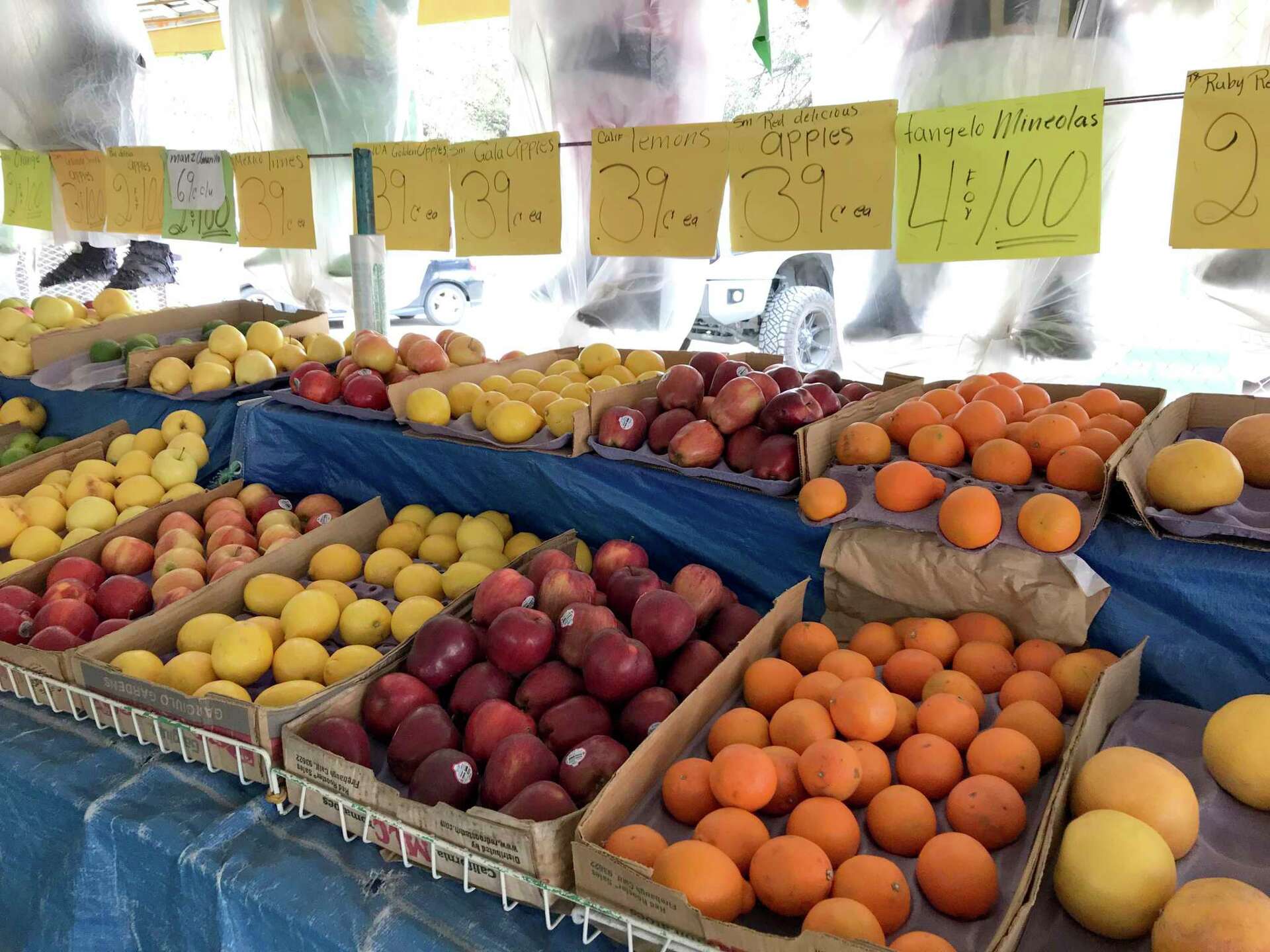 Your guide to San Antonio’s produce markets, the overlooked gems for cheap fruits and vegetables