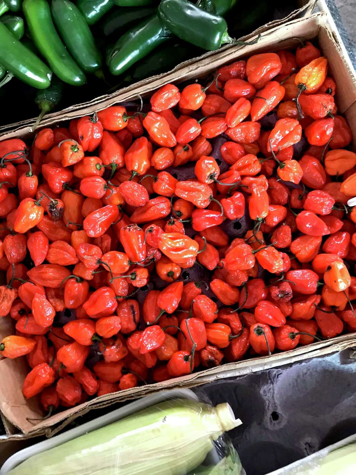 Chiles can help speed up metabolism.