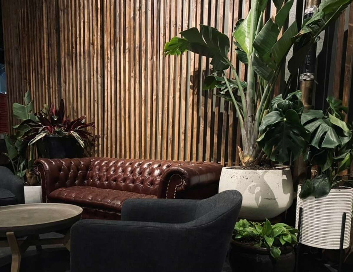 The interior of Propagation, a new bar in Lower Nob Hill, features plenty of foliage to enjoy alongside its cocktail menu.