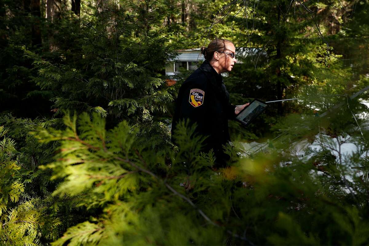 CalFire Defensible Space Inspector Susan Beeler checks out a property in Cohasset in Butte County (March 16).