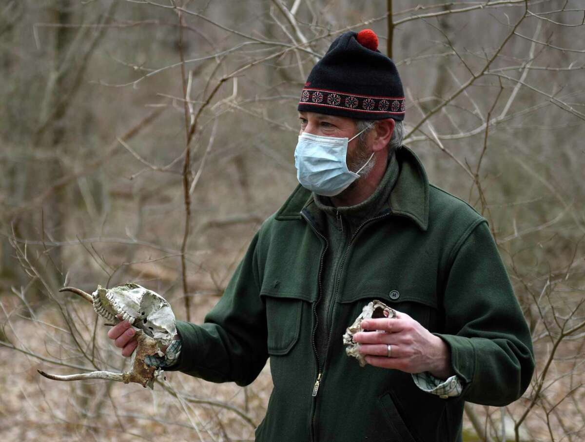 Executive Director Will Kies shows hikers three deer skulls he found on Greenwich Land Trust's newly-acquired Converse Brook Preserve in Greenwich, Conn. Wednesday, March 17, 2021. Guests got the chance to walk newly-established mixed-terrain trails and explore the 72 acres of terrain that the Town of Greenwich and GLT acquired from Aquarion Water Company in October of 2020.