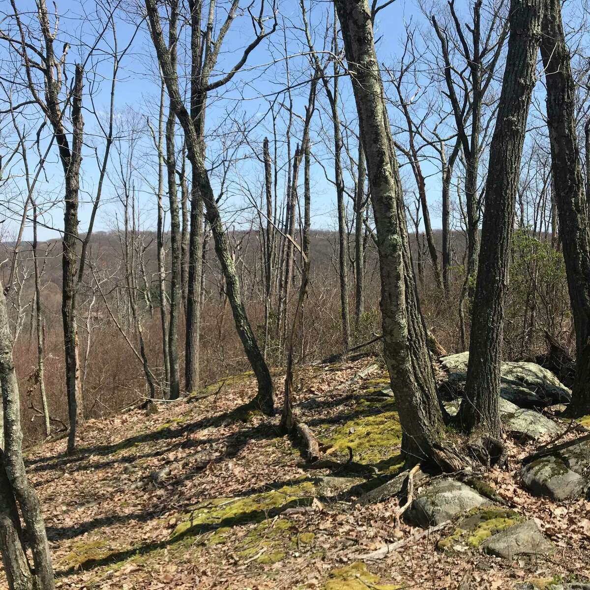 Ridgefield received a $42,000 state grant to add additional terrain to its Bear Mountain preserve