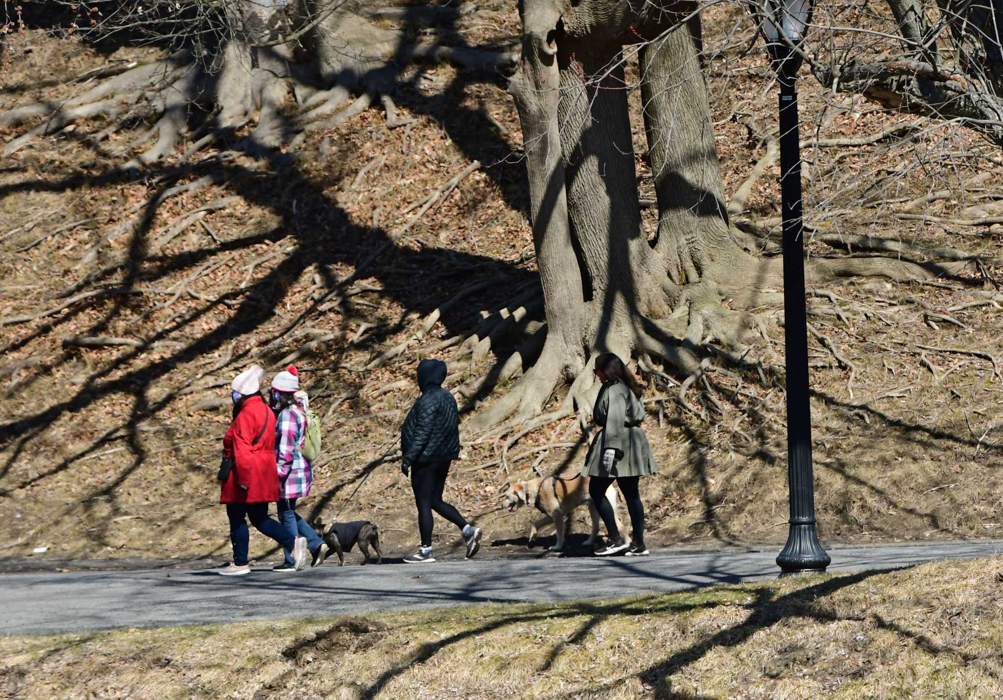 Letter: Investing in parks means investing in public health - Vimarsana News