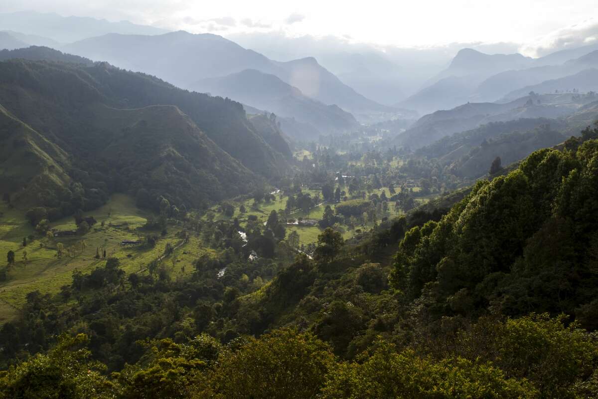 FILE: The Cocora Valley located in the Colombian Andes.
