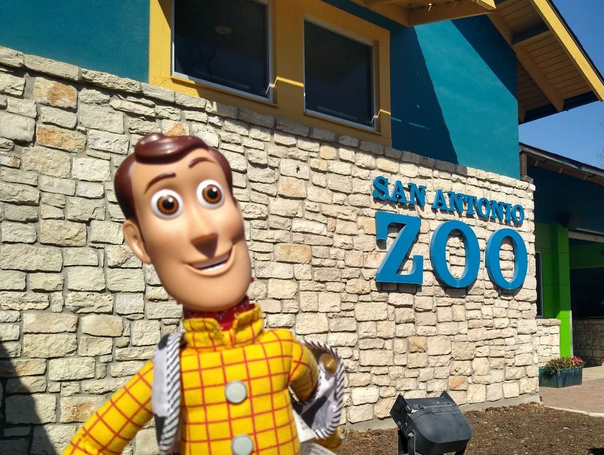 real life toy story characters