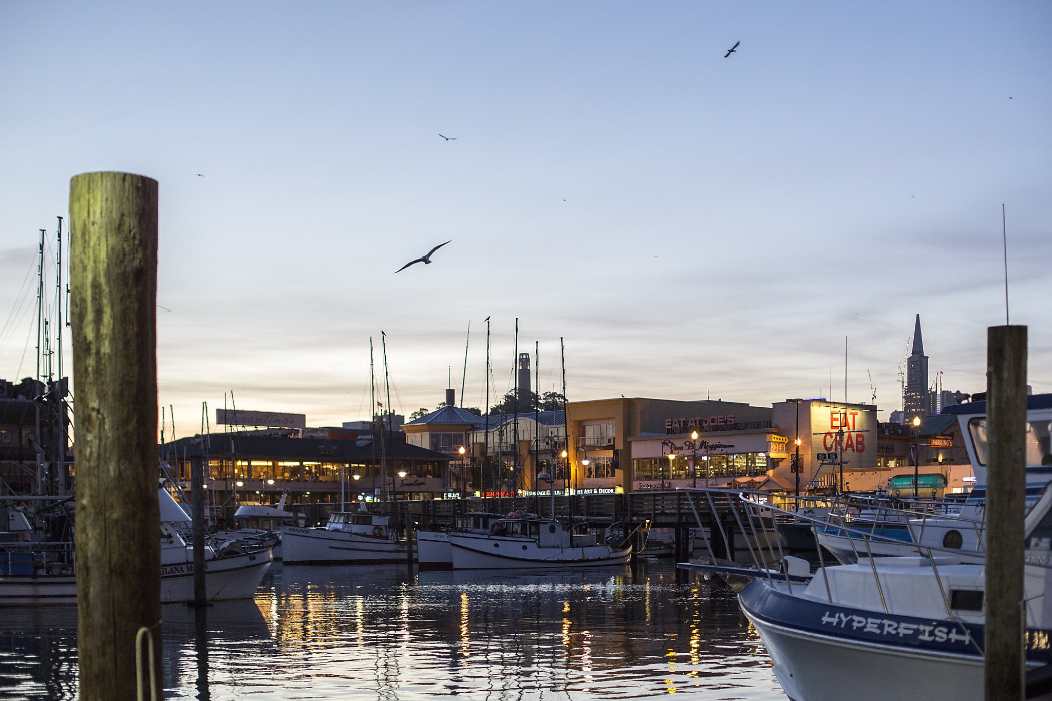 Visit Fisherman's Wharf: 2024 Fisherman's Wharf, San Francisco