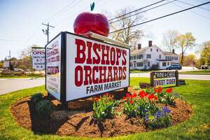 Bishop’s Orchards marks 150+1 anniversary with celebration