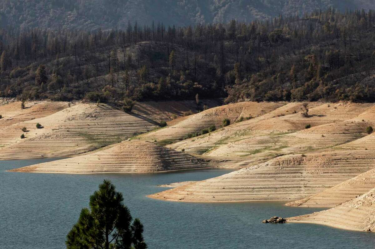 A line of charred trees sits above Lake Oroville, seen from Lumpkin Road in Oroville, Calif. on Sept. 24, 2020, as crews work to mop up areas in Oroville damaged by the Bear Fire.