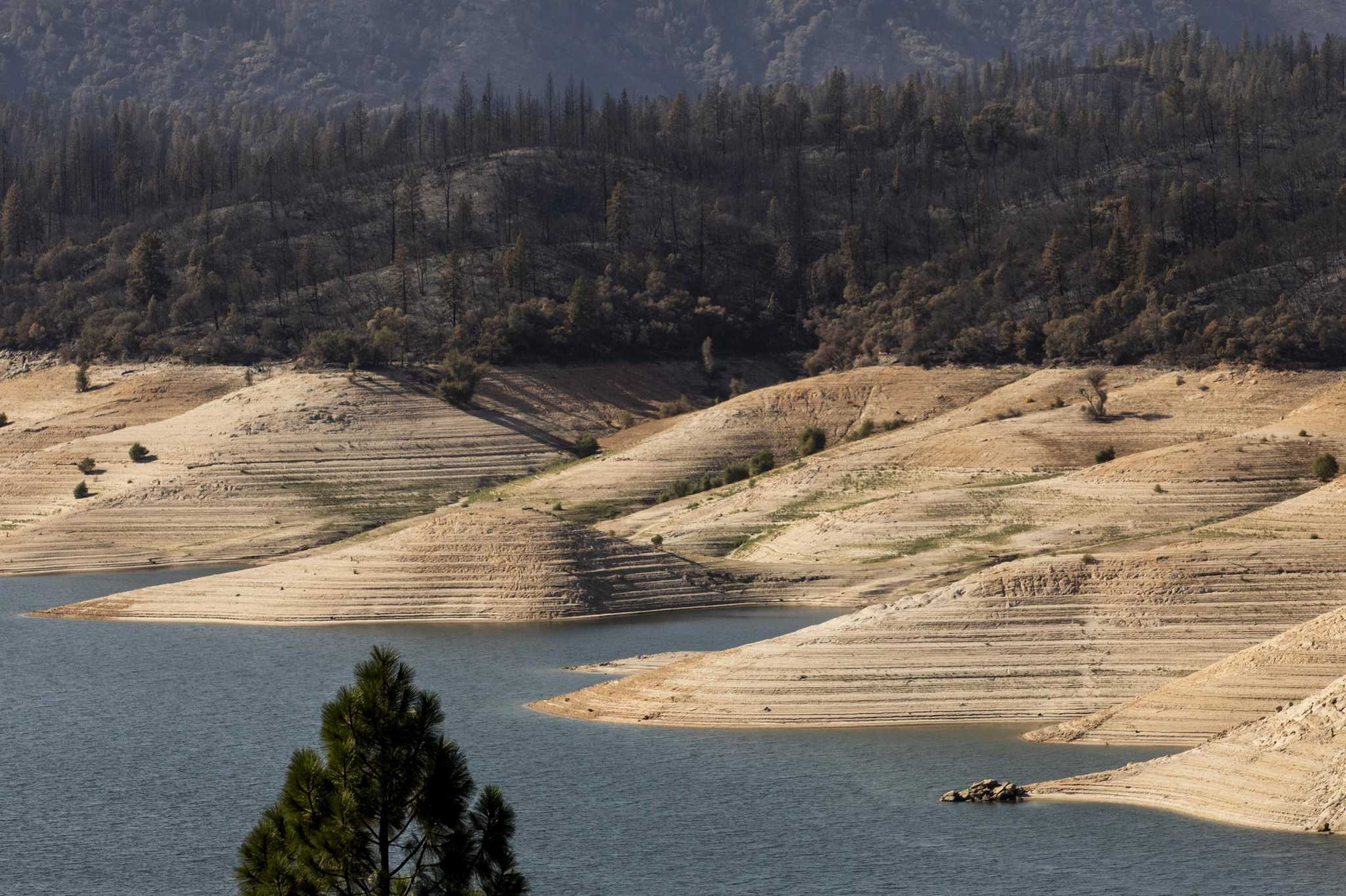 California drought: State anticipates virtually no water deliveries to  cities, farms next year
