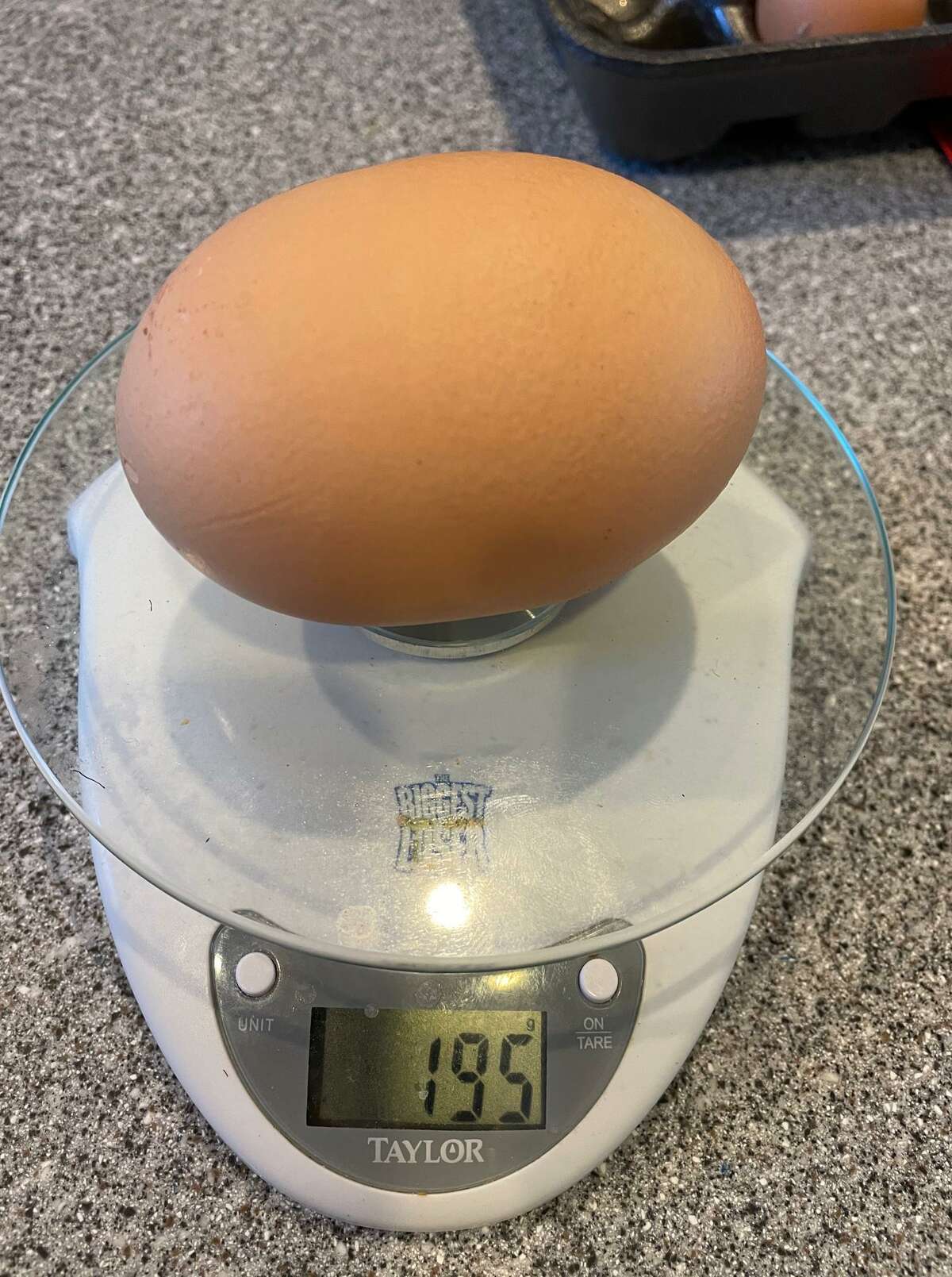Photos ‘Monstrosity’ of a chicken egg in CT contained another full