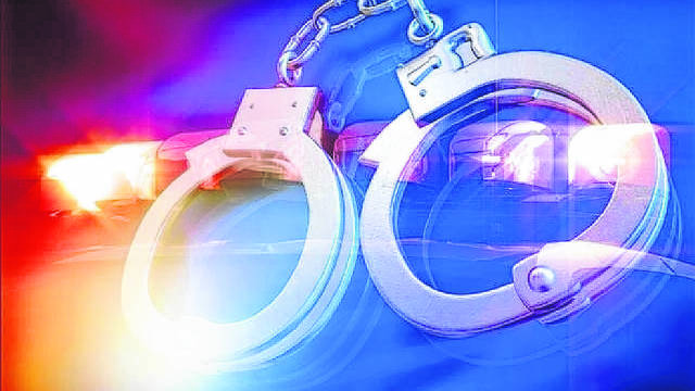 Virginia man faces allegations of animal torture - Vimarsana News