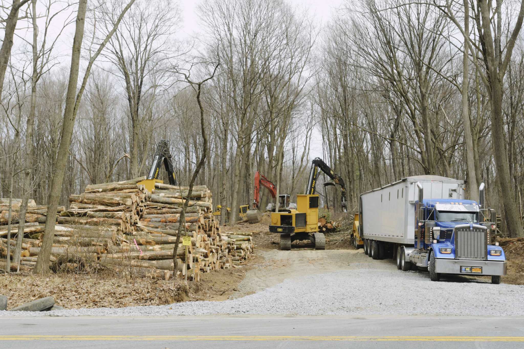 Saratoga Lake Association, neighbors demand end to tree cutting - Vimarsana News