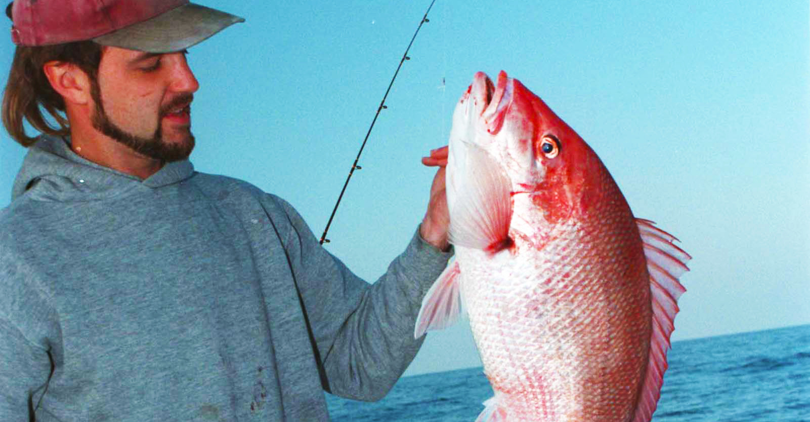 Imposters! The Other Red Snappers and How to Identify Them – Gulf