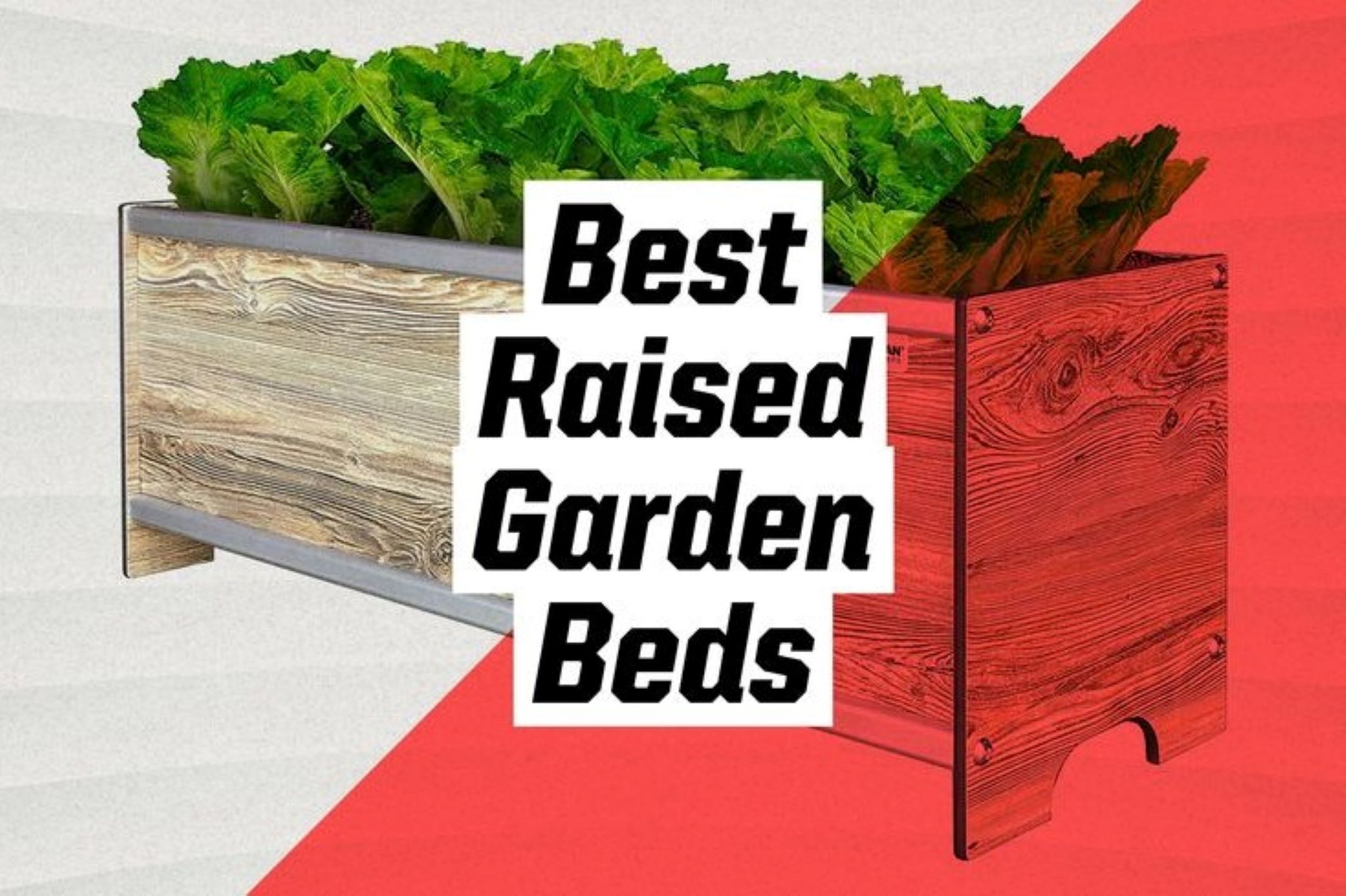 The best raised garden beds for your home