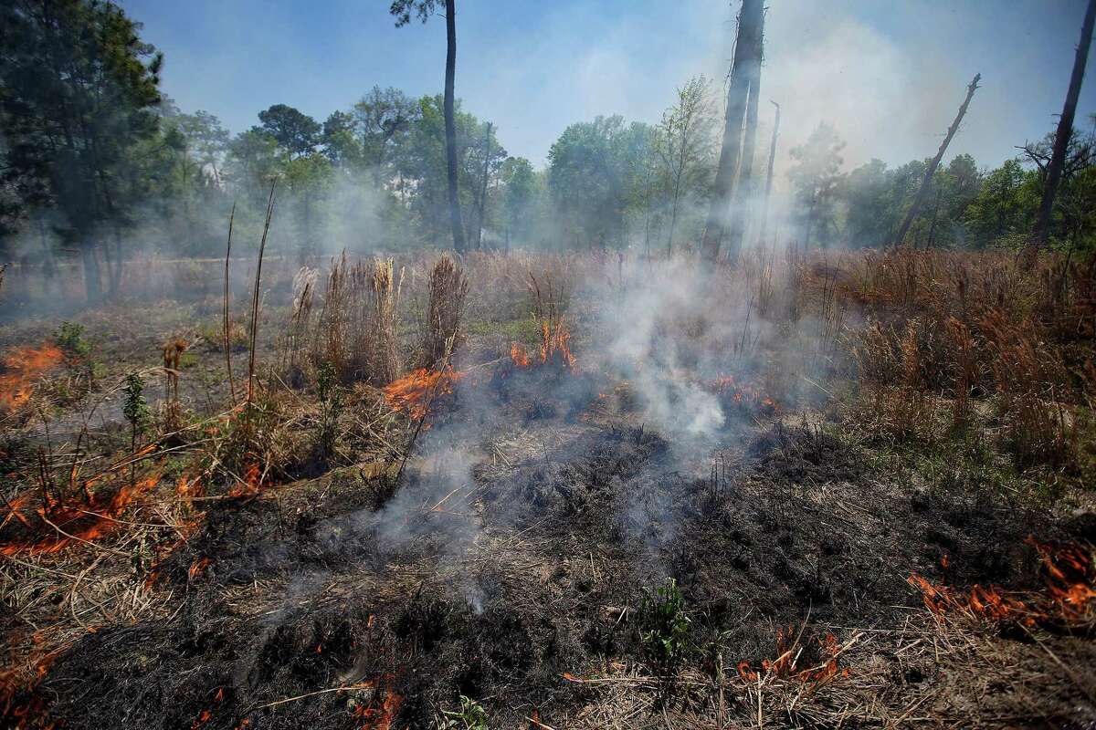 Over seven acres burn during a prescribed fire at the Houston Arboretum & Nature Center on Thursday, March 25, 2021.