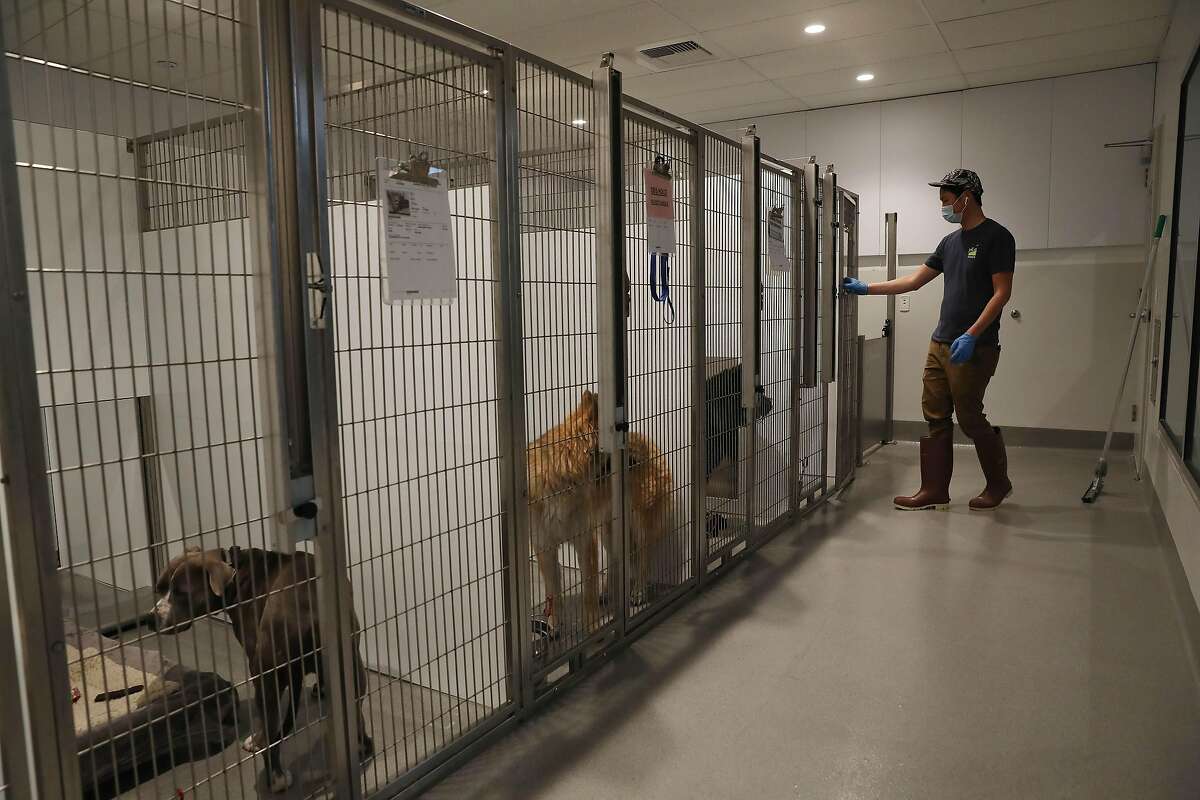 Take a tour through S.F.’s new, 77 million animal shelter, complete with a dog toilet