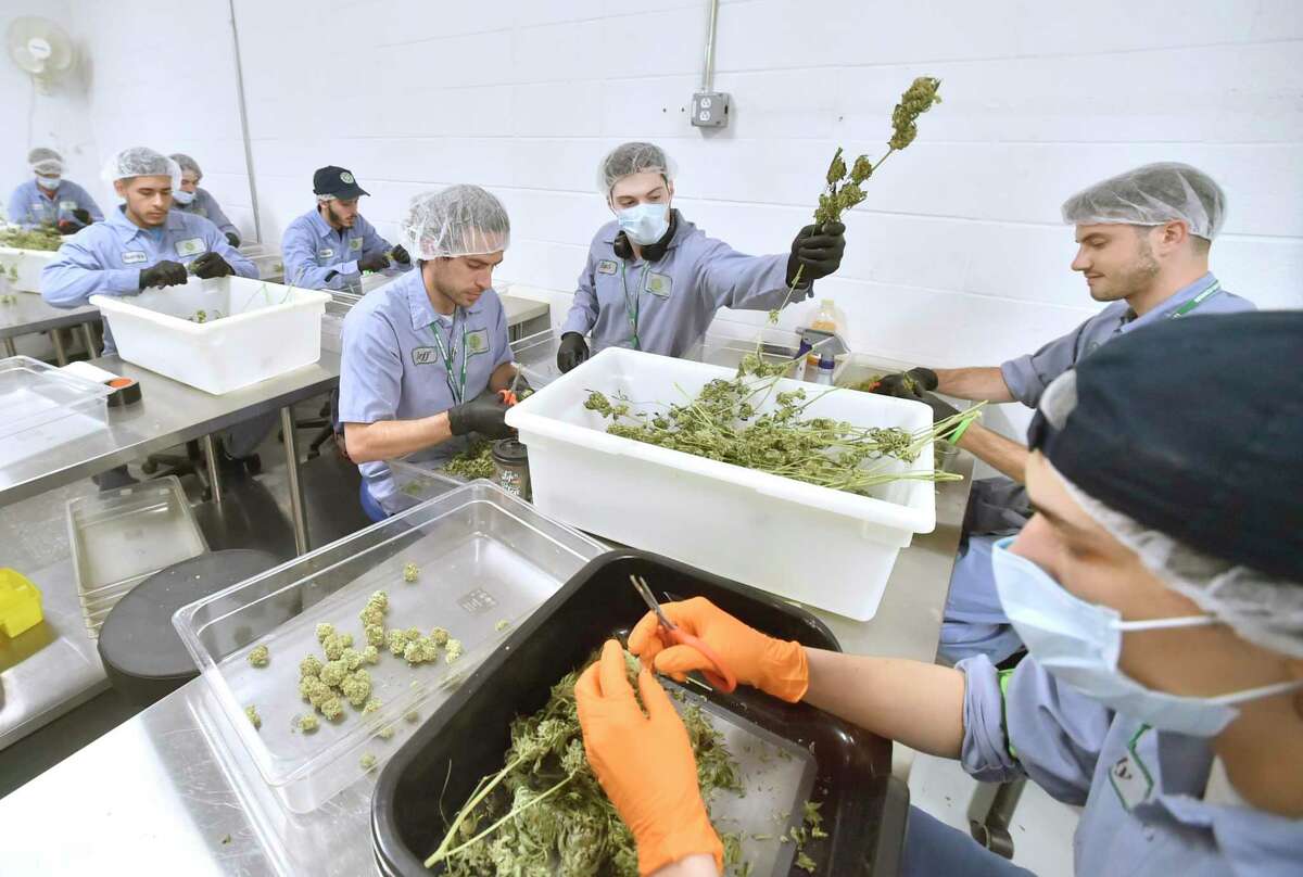 Workers at Advanced Grow Labs of West Haven, one of several growers in Connecticut that supply medical marijuana, in 2018.
